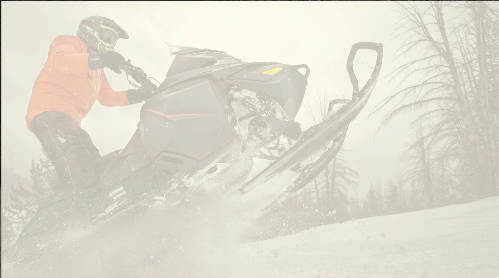 image of lake and trees in background